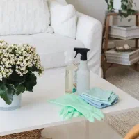 شرکت خدماتی نظافتی مهدیسان