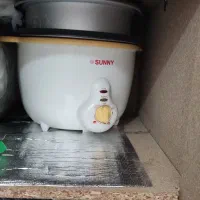 پلوپز و آرام پز سالم