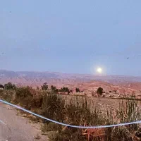 اجاره زمین کشاورزی