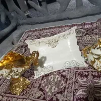 ظروف پذیرایی