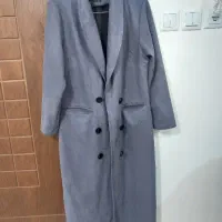 تعدادی پالتو