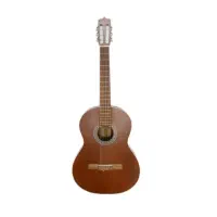 گیتار کلاسیک مدل p40