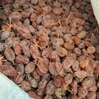 کشمش ومویزوشیره انگور