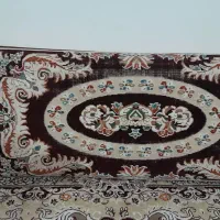 دو جفت پشتی