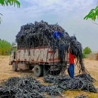 جمع آوری نوار تیپ