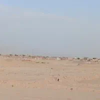 زمین نارجو