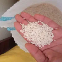 برنج سالم هاشمی و کاظمی ولاشه نیمدانه|خوردنی و آشامیدنی|محمدیه-قزوین, |دیوار