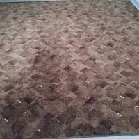 موکت(پالاز)|موکت|مریوان, |دیوار