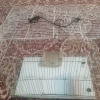 قفسه پرنده|لوازم جانبی حیوانات|مشهد, انصار|دیوار