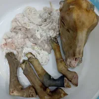 کله پاچه فروشی - تحویل رایگان در تالش|خوردنی و آشامیدنی|اسالم, |دیوار