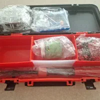 لنسر مینیاتوری