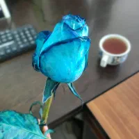 استخدام نیرو خانم  برای کادر دفتر