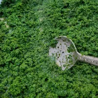 سبزی رامهرمز آب پز خورشتی آشی سوپی ماهی برنجی