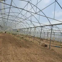 تعدادی کارگر برای نصب سازه گلخانه