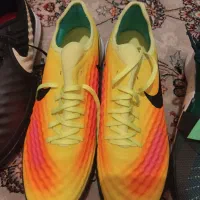 کفش اورجینال|کیف، کفش، کمربند|یاسوج, |دیوار