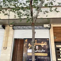 مغازه-نوساز
