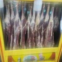 گوشت گرم گوساله گوسفندی|عمده‌فروشی|بهار, |دیوار