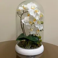 گلدان ارکیده هدیه