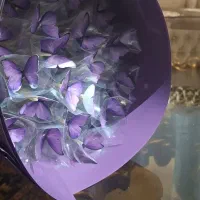 دسته گل پروانه ای اقتصادی