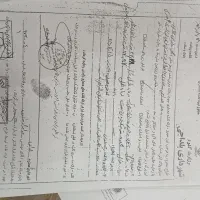 زمین ساختمانی در شهر بلداجی|فروش زمین و ملک کلنگی|بلداجی, |دیوار