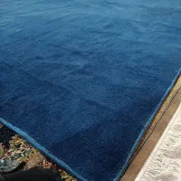 پالازموکت ۳در۴