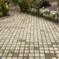 ویلای-جنگلی