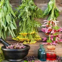 درمان گیاهی