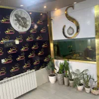 مربی ورزشی باشگاه سهیل باهنر