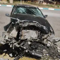 پارس تصادفی