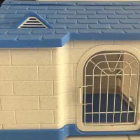 کلبه،خانه،سگ،گربه