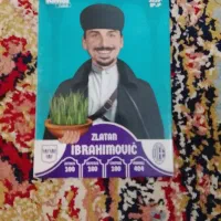 نوروزی زلاتان