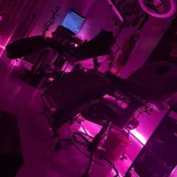 تخت تتو  ترولی