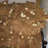 جاروی دستی|لوازم نظافت|مینودشت, |دیوار