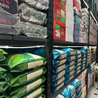 استخدام تعدادی نیروی ساده