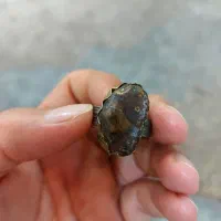 جفت انگشتر قدیمی|کلکسیون اشیاء عتیقه|اهواز, زیتون کارمندی|دیوار