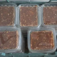 ابنبات گردویی