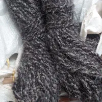 طناب سرب سالیک