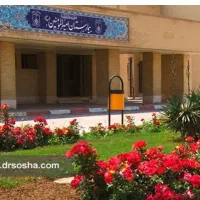 جذب نیرو شرکتی