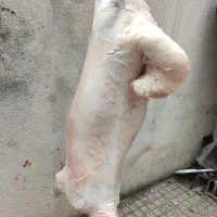 قصاب|خدمات پیشه و مهارت|گرگان, |دیوار