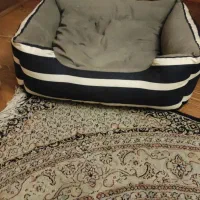 وسایل گربه