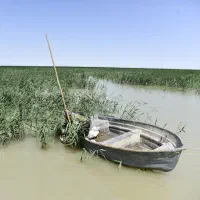 تور ماهی