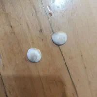 مهرع|بدلیجات|تربت‌حیدریه, کوه سنگی|دیوار