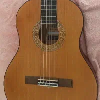 گیتار نو