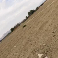 فروش ویژه دو‌هکتارزمین کشاورزی سر اسفالت