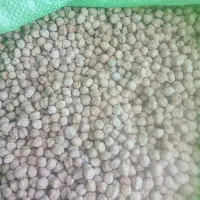 نخود 20 کیلو درجه ۱ موجود