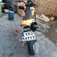 تلیر پیشرو گلد