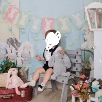 دکور آتلیه و عکاسی مناسب یلدا و عید نوروز|صنایع دستی و سایر لوازم تزئینی|همدان, |دیوار