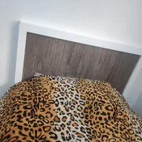 تخت، کتابخانه ،پایتختی|کتابخانه، شلف، قفسههای دیواری|گلبهار, شهر جدید گلبهار|دیوار