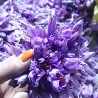 زعفران اصیل قائنات نمونه در عطر و رنگ|خوردنی و آشامیدنی|بیرجند, |دیوار