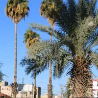 عکس با دوربین عکاسی|دوربین عکاسی و فیلم‌برداری|دهدشت, |دیوار